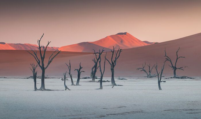 Fotografias impressionantes da natureza que parecem cenas de outro planeta (32 fotos) 24 Fotografias impressionantes da natureza que parecem cenas de outro planeta (32 fotos) 24