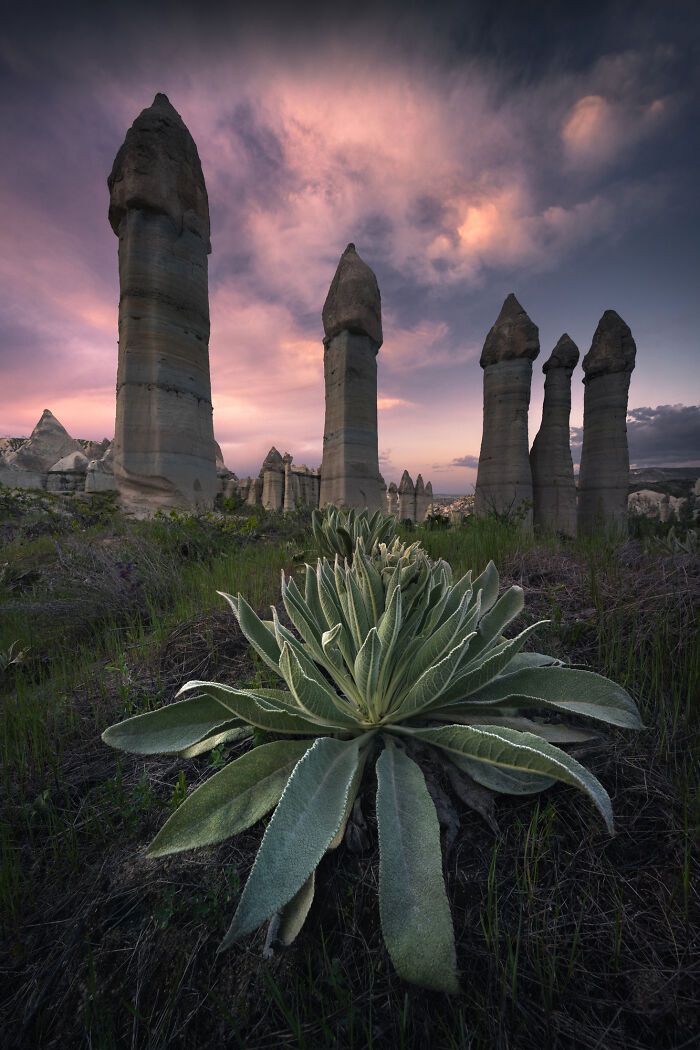 Fotografias impressionantes da natureza que parecem cenas de outro planeta (32 fotos) 26 Fotografias impressionantes da natureza que parecem cenas de outro planeta (32 fotos) 26