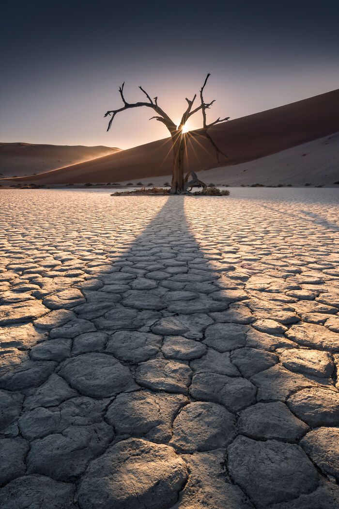 Fotografias impressionantes da natureza que parecem cenas de outro planeta (32 fotos) 29 Fotografias impressionantes da natureza que parecem cenas de outro planeta (32 fotos) 29