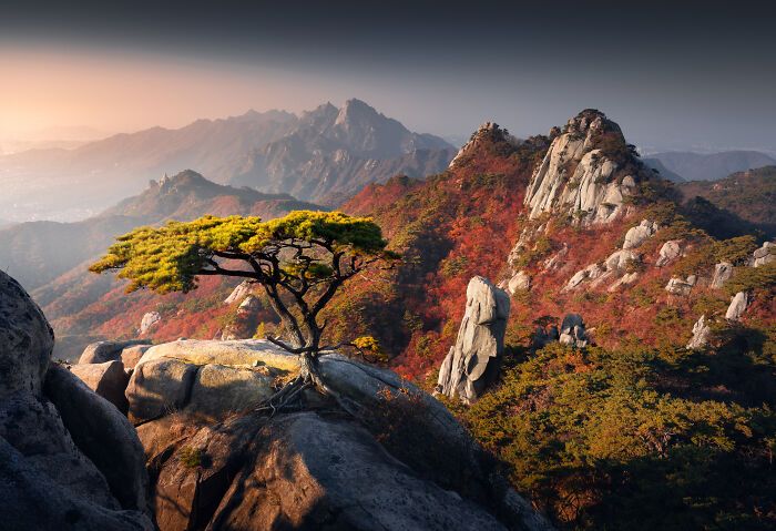 Fotografias impressionantes da natureza que parecem cenas de outro planeta (32 fotos) 30 Fotografias impressionantes da natureza que parecem cenas de outro planeta (32 fotos) 30
