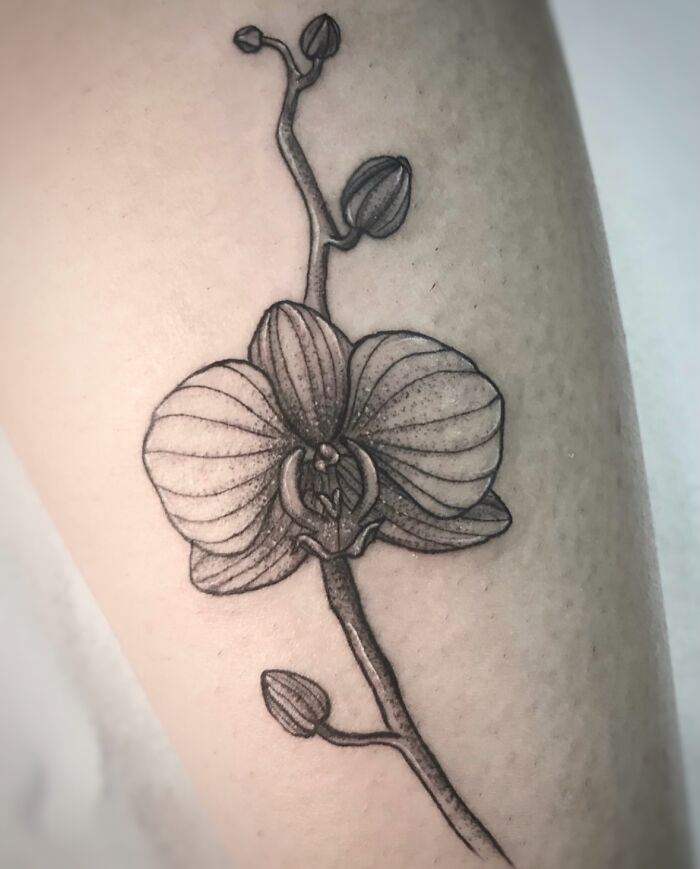35 tatuagens botânicas femininas: o estilo elegante que virou obsessão nos estúdios 23 35 tatuagens botânicas femininas: o estilo elegante que virou obsessão nos estúdios 23
