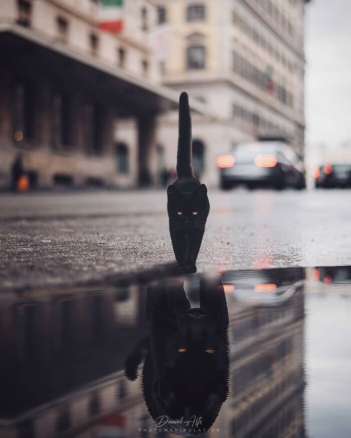 Arte surreal digital: as imagens inacreditáveis de Daniel Artx que parecem cenas de um filme de fantasia (32 fotos) 15 Arte surreal digital: as imagens inacreditáveis de Daniel Artx que parecem cenas de um filme de fantasia (32 fotos) 15