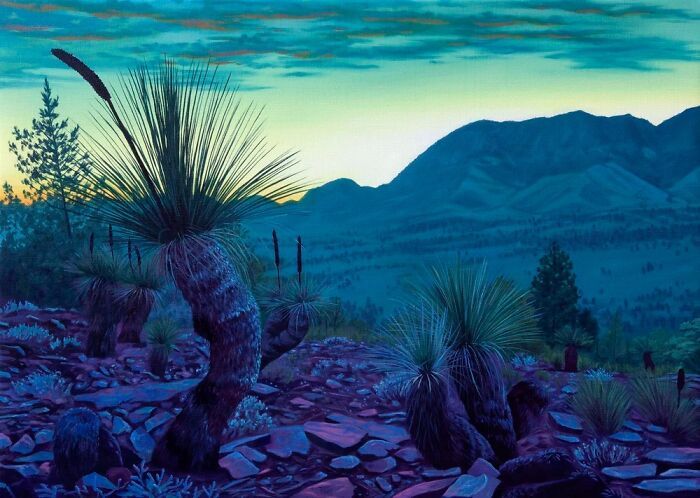 As paisagens surrealistas de Jack Rowland parecem pertencer a outro planeta (27 fotos) 21 As paisagens surrealistas de Jack Rowland parecem pertencer a outro planeta (27 fotos) 21
