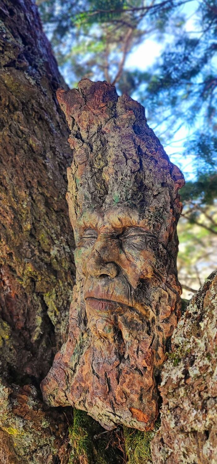 Esculturas em madeira flutuante parecem revelar rostos escondidos pela natureza há séculos (27 fotos) 4 Esculturas em madeira flutuante parecem revelar rostos escondidos pela natureza há séculos (27 fotos) 4