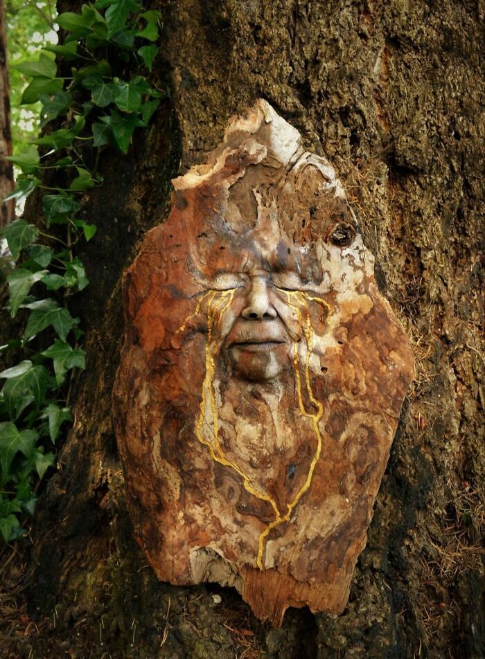 Esculturas em madeira flutuante parecem revelar rostos escondidos pela natureza há séculos (27 fotos) 5 Esculturas em madeira flutuante parecem revelar rostos escondidos pela natureza há séculos (27 fotos) 5