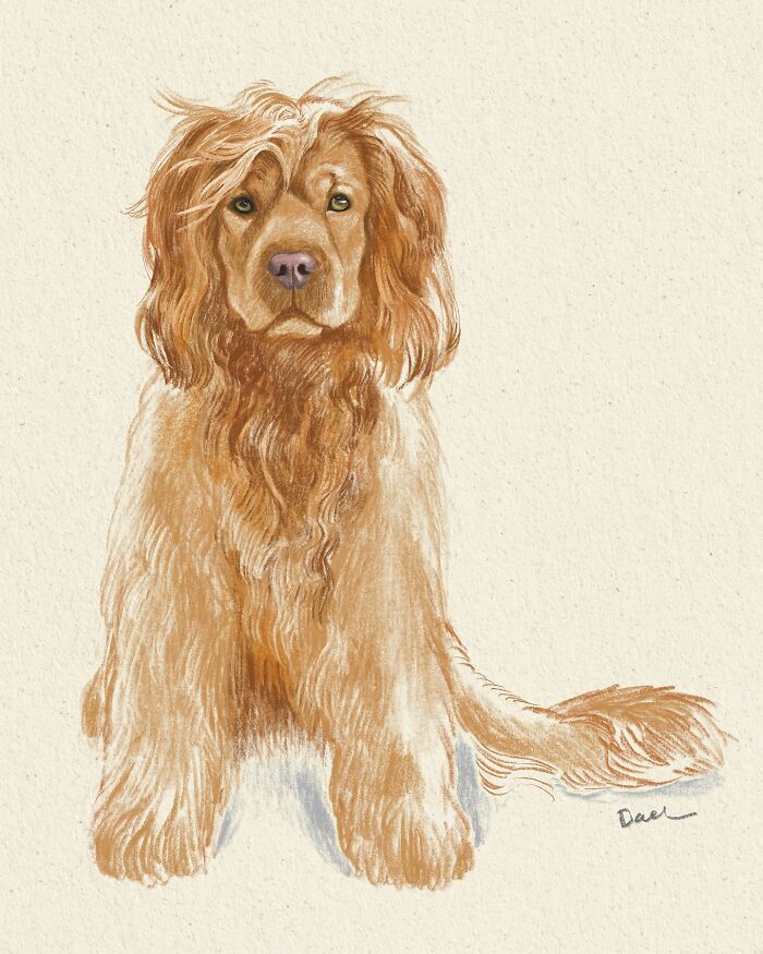 Estes retratos de cachorros conseguem capturar algo que nem toda fotografia mostra Estes retratos de cachorros conseguem capturar algo que nem toda fotografia mostra