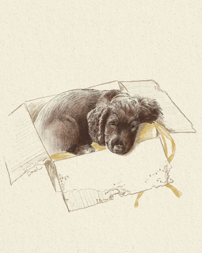Estes retratos de cachorros conseguem capturar algo que nem toda fotografia mostra (25 fotos) 7 Estes retratos de cachorros conseguem capturar algo que nem toda fotografia mostra (25 fotos) 7