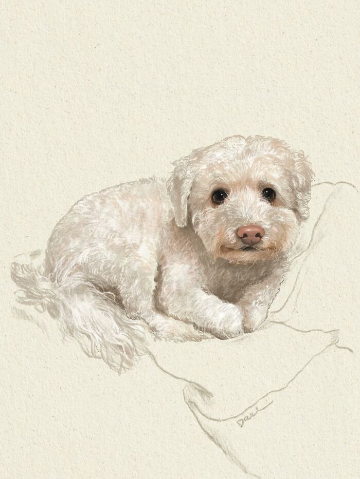 Estes retratos de cachorros conseguem capturar algo que nem toda fotografia mostra (25 fotos) 24 Estes retratos de cachorros conseguem capturar algo que nem toda fotografia mostra (25 fotos) 24