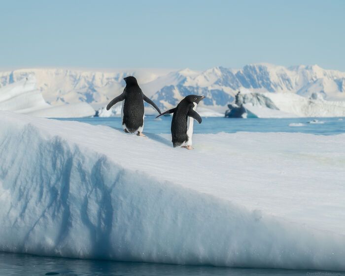 32 fotos da Antártida revelam um cenário tão surreal que parece ter sido criado por computador 24