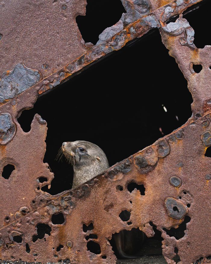 32 fotos da Antártida revelam um cenário tão surreal que parece ter sido criado por computador 28