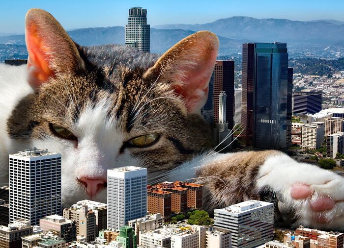 Gatos gigantes em cidades: as imagens surreais que mostram como seria o mundo dominado por felinos enormes 