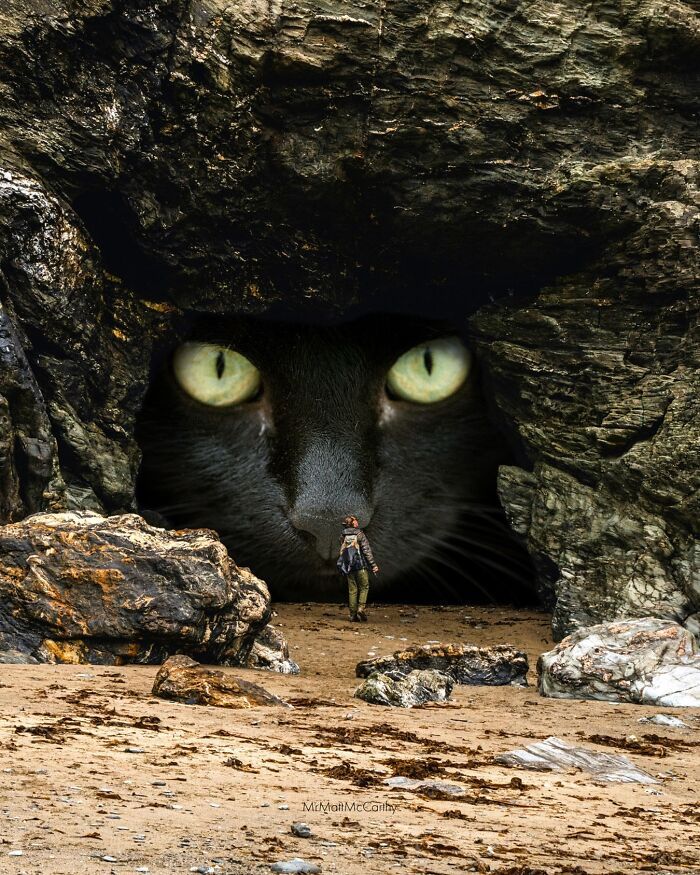 Gatos gigantes em cidades: as imagens surreais que mostram como seria o mundo dominado por felinos enormes (30 fotos) 2
