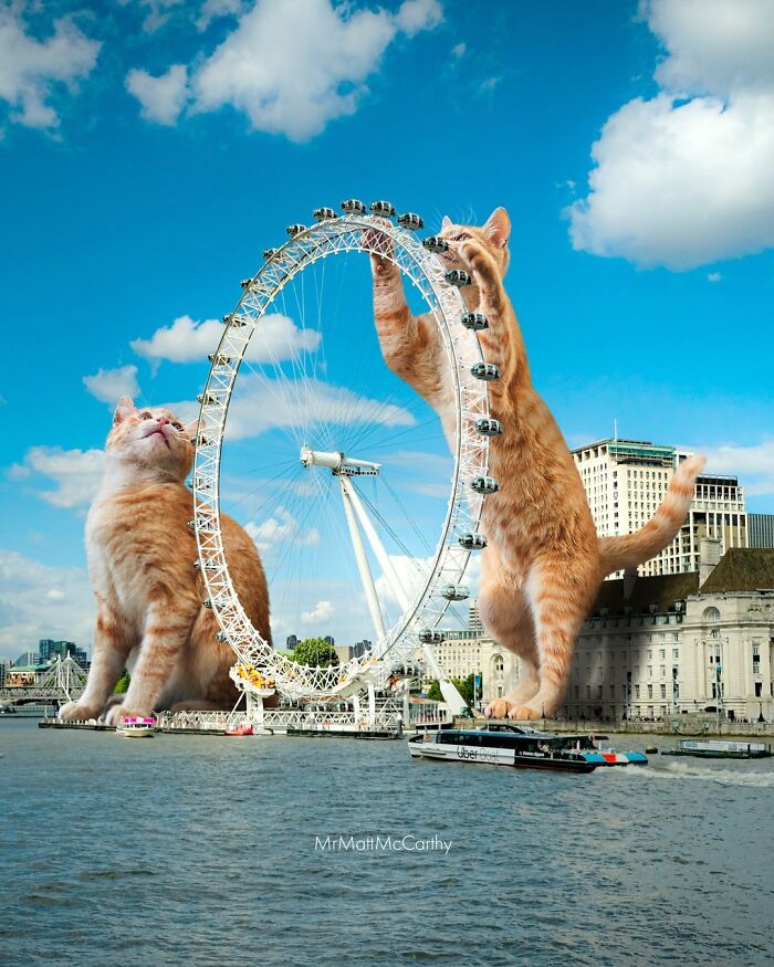 Gatos gigantes em cidades: as imagens surreais que mostram como seria o mundo dominado por felinos enormes (30 fotos) 6
