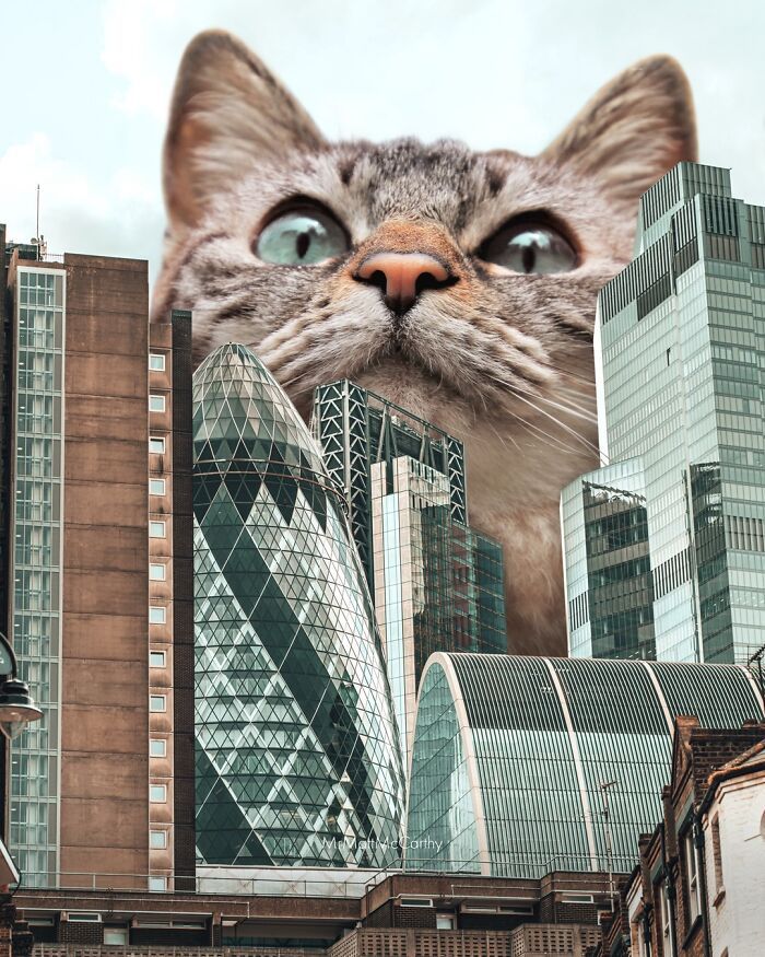 Gatos gigantes em cidades: as imagens surreais que mostram como seria o mundo dominado por felinos enormes (30 fotos) 7