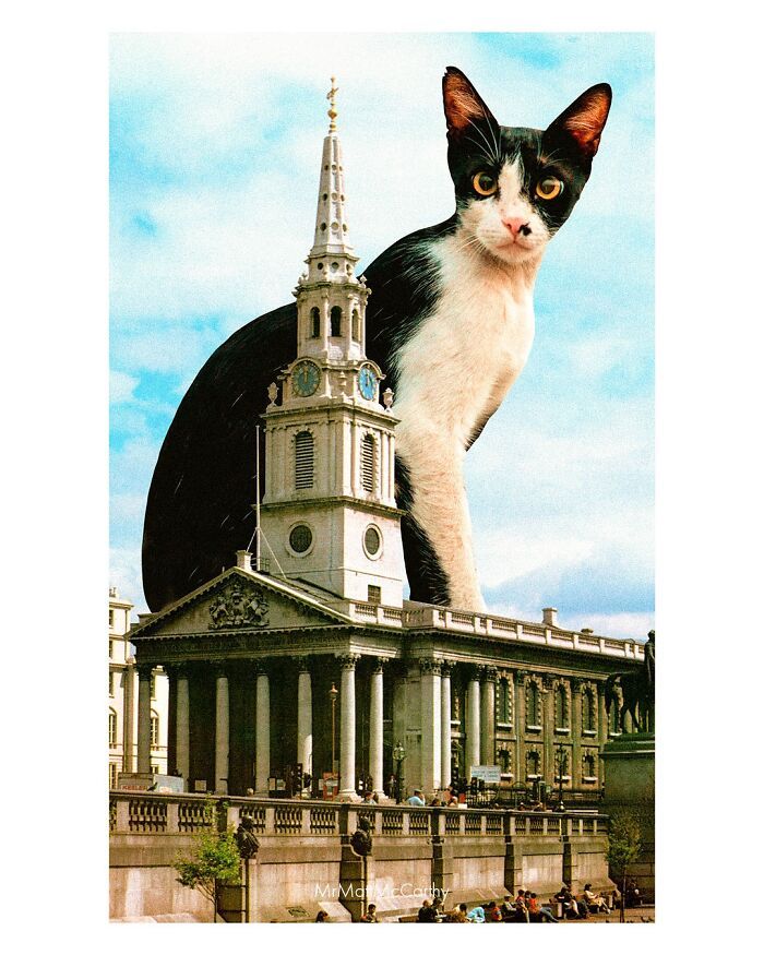 Gatos gigantes em cidades: as imagens surreais que mostram como seria o mundo dominado por felinos enormes (30 fotos) 8