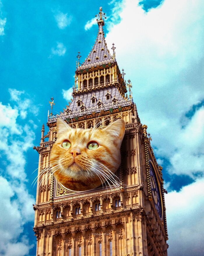Gatos gigantes em cidades: as imagens surreais que mostram como seria o mundo dominado por felinos enormes (30 fotos) 9