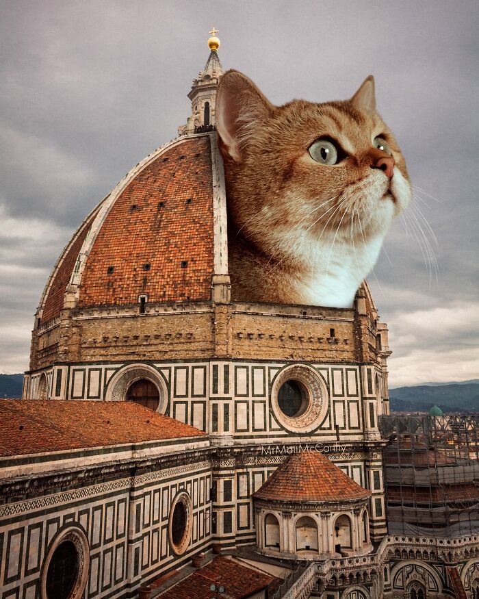 Gatos gigantes em cidades: as imagens surreais que mostram como seria o mundo dominado por felinos enormes (30 fotos) 11
