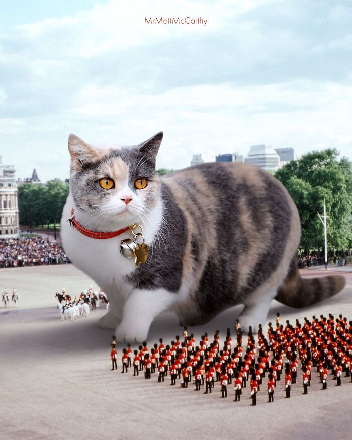 Gatos gigantes em cidades: as imagens surreais que mostram como seria o mundo dominado por felinos enormes (30 fotos) 12