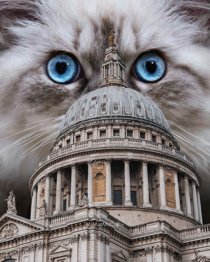 Gatos gigantes em cidades: as imagens surreais que mostram como seria o mundo dominado por felinos enormes (30 fotos) 17