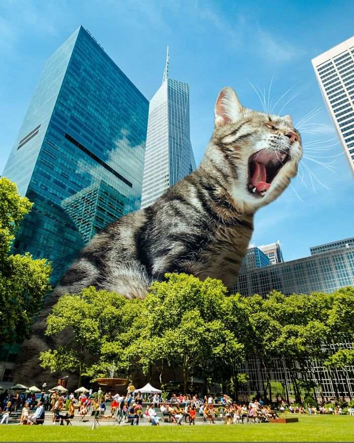 Gatos gigantes em cidades: as imagens surreais que mostram como seria o mundo dominado por felinos enormes (30 fotos) 18