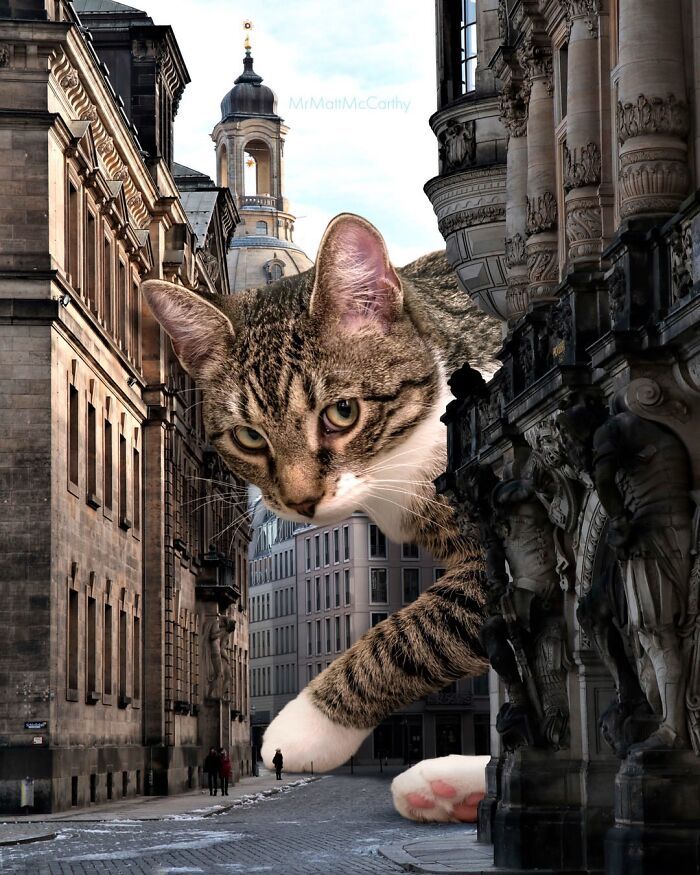Gatos gigantes em cidades: as imagens surreais que mostram como seria o mundo dominado por felinos enormes (30 fotos) 20