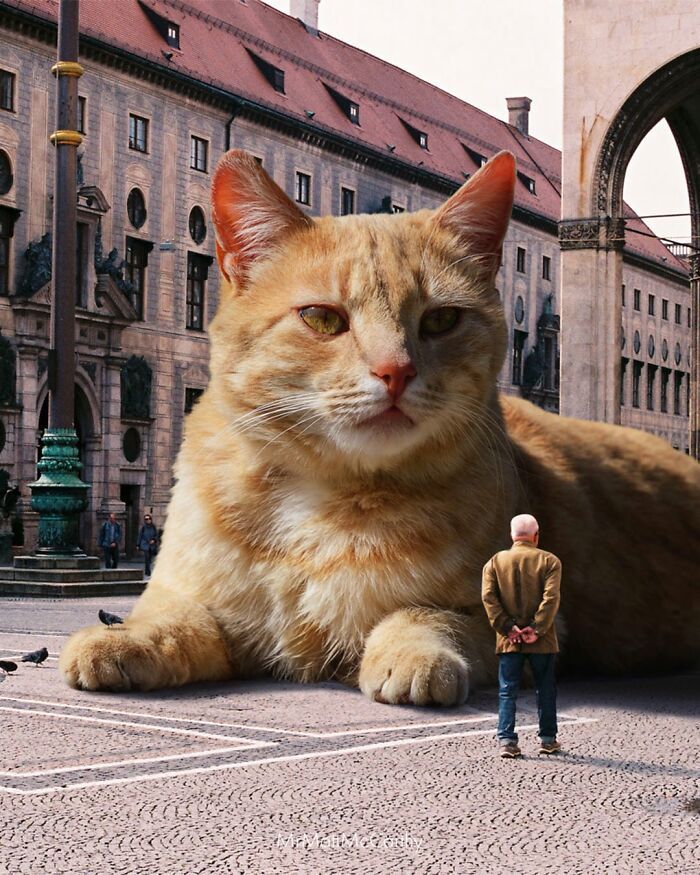 Gatos gigantes em cidades: as imagens surreais que mostram como seria o mundo dominado por felinos enormes (30 fotos) 21