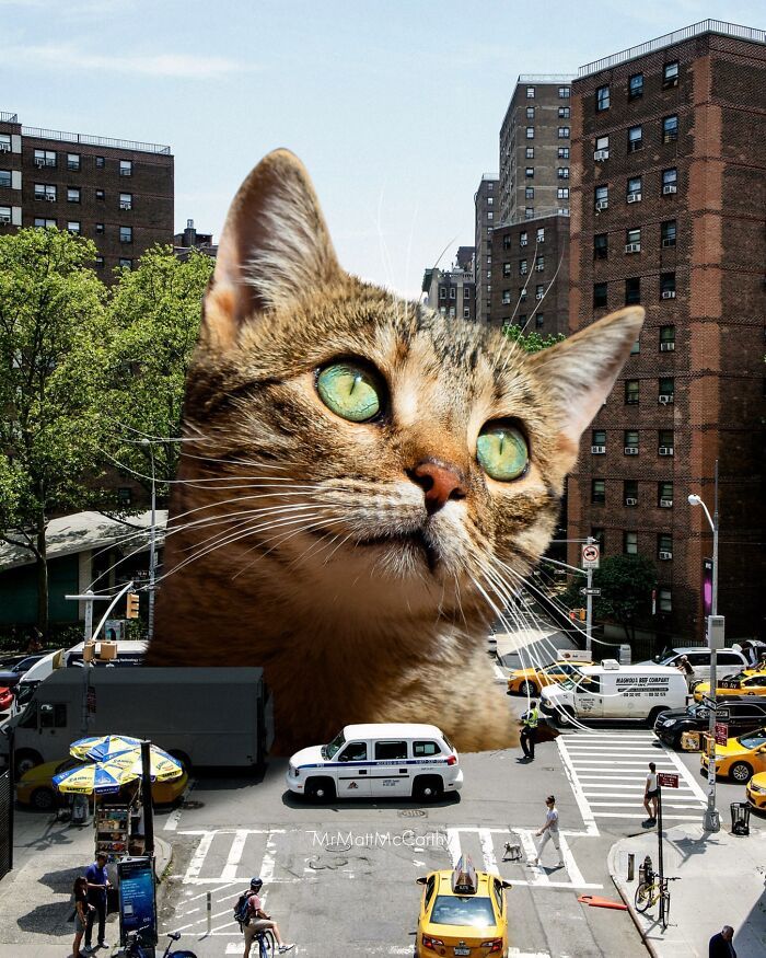 Gatos gigantes em cidades: as imagens surreais que mostram como seria o mundo dominado por felinos enormes (30 fotos) 22