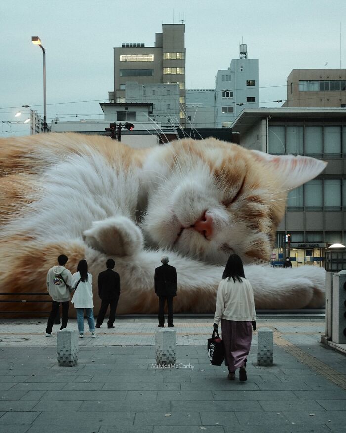 Gatos gigantes em cidades: as imagens surreais que mostram como seria o mundo dominado por felinos enormes (30 fotos) 25