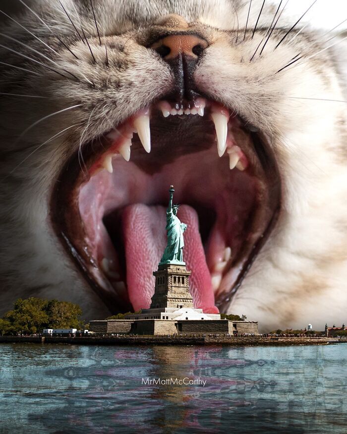 Gatos gigantes em cidades: as imagens surreais que mostram como seria o mundo dominado por felinos enormes (30 fotos) 28