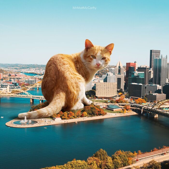 Gatos gigantes em cidades: as imagens surreais que mostram como seria o mundo dominado por felinos enormes (30 fotos) 29