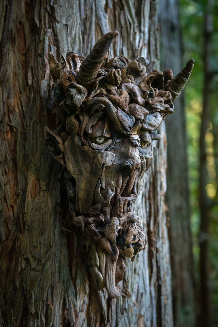 Esculturas feitas com madeira encontrada na natureza impressionam por esconder rostos que parecem ganhar vida (27 fotos) 26 Esculturas feitas com madeira encontrada na natureza impressionam por esconder rostos que parecem ganhar vida (27 fotos) 26