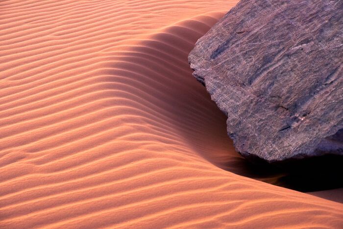 Fotografia de natureza: as imagens impressionantes que revelam detalhes invisíveis aos nossos olhos (31 fotos) 13