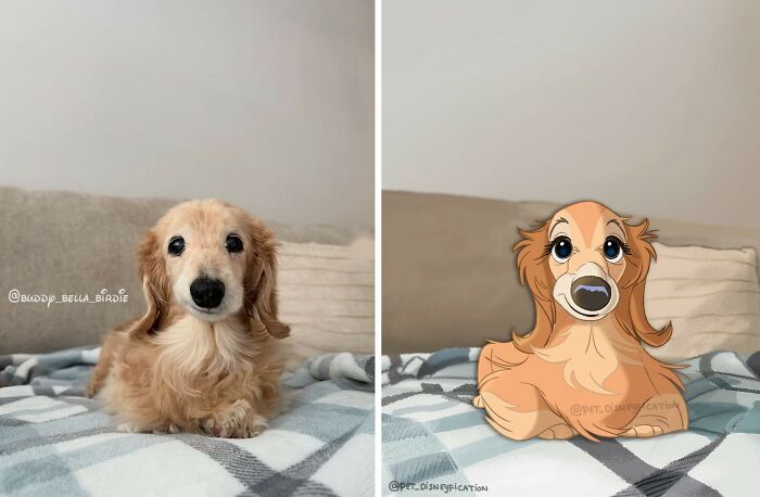 Pets em estilo Disney: as ilustrações que transformam animais de estimação em personagens inesquecíveis (26 fotos) 5