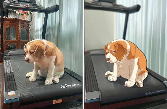 Pets em estilo Disney: as ilustrações que transformam animais de estimação em personagens inesquecíveis (26 fotos) 6