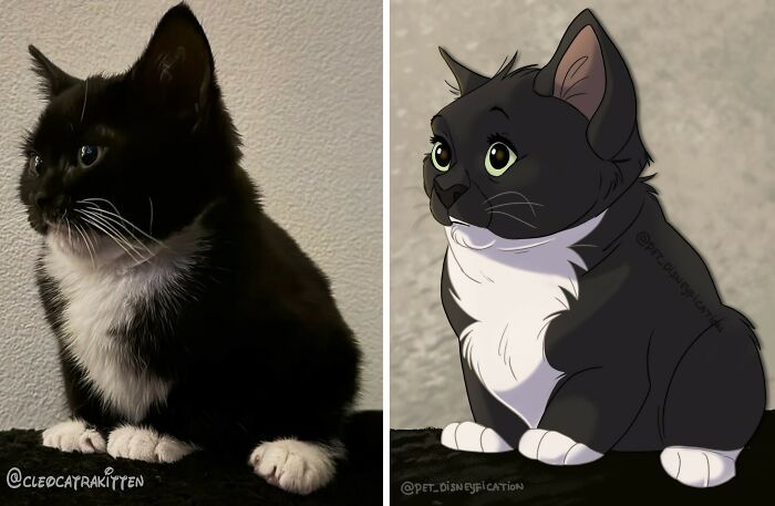 Pets em estilo Disney: as ilustrações que transformam animais de estimação em personagens inesquecíveis (26 fotos) 11