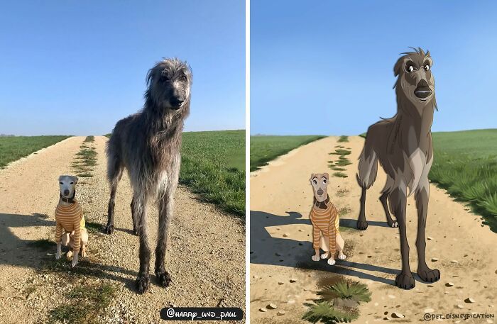 Pets em estilo Disney: as ilustrações que transformam animais de estimação em personagens inesquecíveis (26 fotos) 13