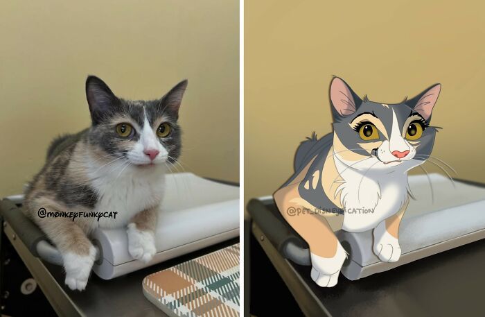 Pets em estilo Disney: as ilustrações que transformam animais de estimação em personagens inesquecíveis (26 fotos) 16