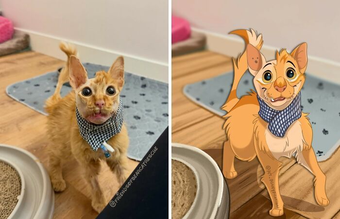 Pets em estilo Disney: as ilustrações que transformam animais de estimação em personagens inesquecíveis (26 fotos) 19