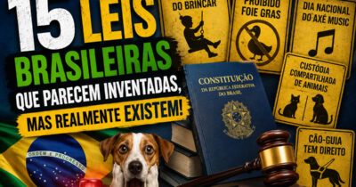 15 leis brasileiras que parecem inventadas, mas realmente existem