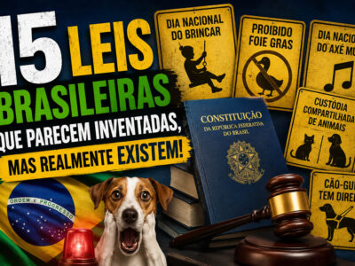 15 leis brasileiras que parecem inventadas, mas realmente existem