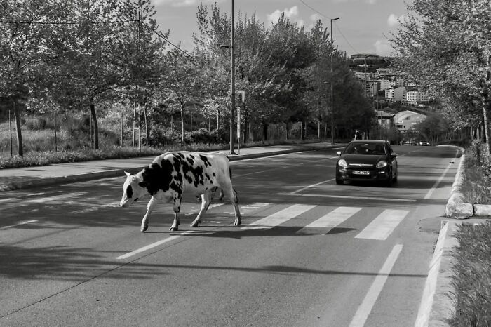 Fotografia de Istambul: momentos incríveis que parecem ter sido planejados (25 fotos) 16 Fotografia de Istambul: momentos incríveis que parecem ter sido planejados (25 fotos) 16