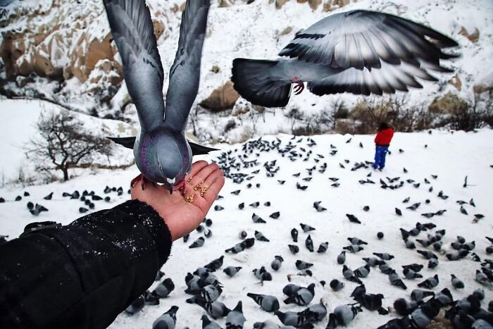 Fotografia de Istambul: momentos incríveis que parecem ter sido planejados (25 fotos) 18 Fotografia de Istambul: momentos incríveis que parecem ter sido planejados (25 fotos) 18