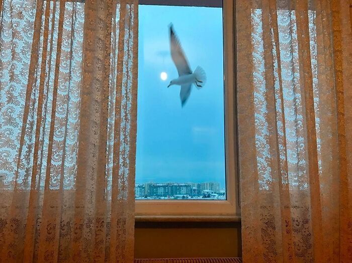 Fotografia de Istambul: momentos incríveis que parecem ter sido planejados (25 fotos) 19 Fotografia de Istambul: momentos incríveis que parecem ter sido planejados (25 fotos) 19