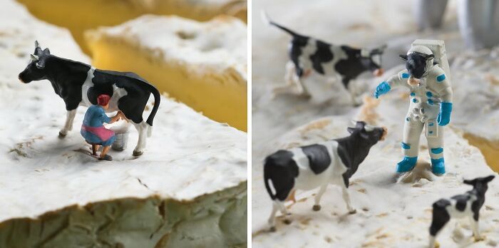 Fotografia em miniatura com comida: quando alimentos comuns viram mundos gigantes (30 fotos) 10 Fotografia em miniatura com comida: quando alimentos comuns viram mundos gigantes (30 fotos) 10