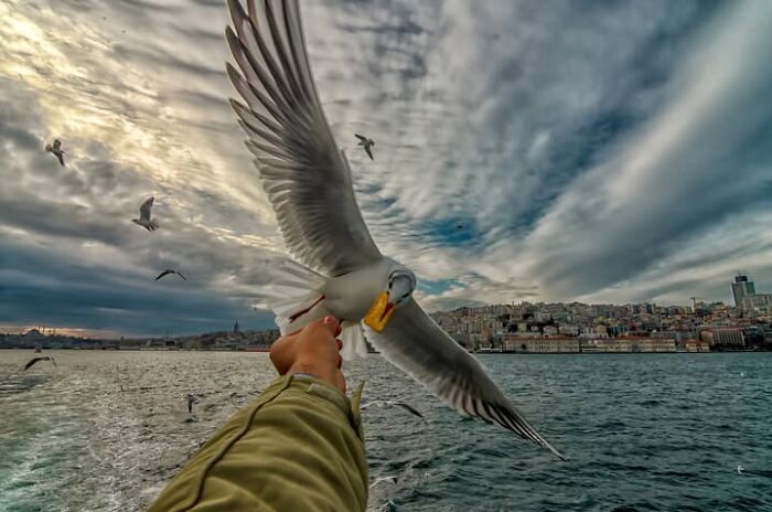 Fotografias incríveis mostram como um segundo pode transformar uma cena comum (32 fotos) 4 Fotografias incríveis mostram como um segundo pode transformar uma cena comum (32 fotos) 4