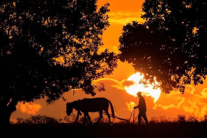 Fotografias incríveis mostram como um segundo pode transformar uma cena comum (32 fotos) 5 Fotografias incríveis mostram como um segundo pode transformar uma cena comum (32 fotos) 5