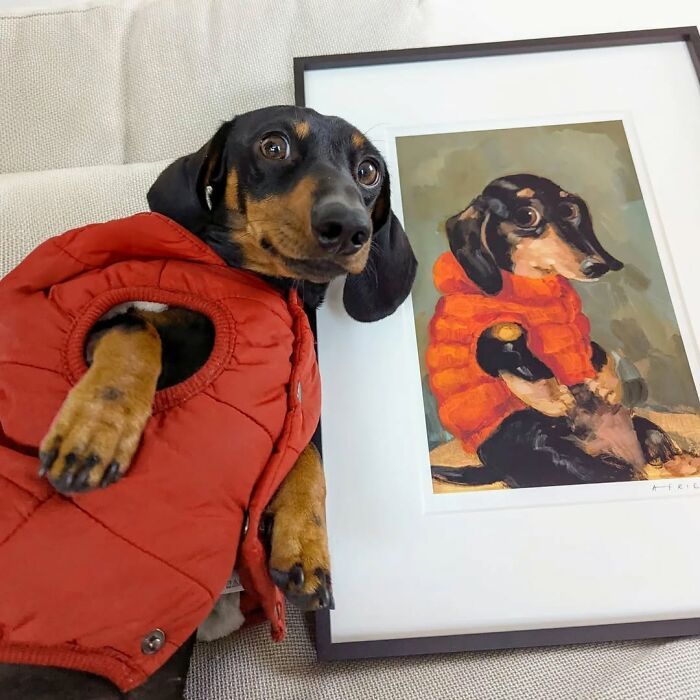 Fotos engraçadas de cachorros: 38 imagens tão fofas e divertidas que vão melhorar o seu dia 1