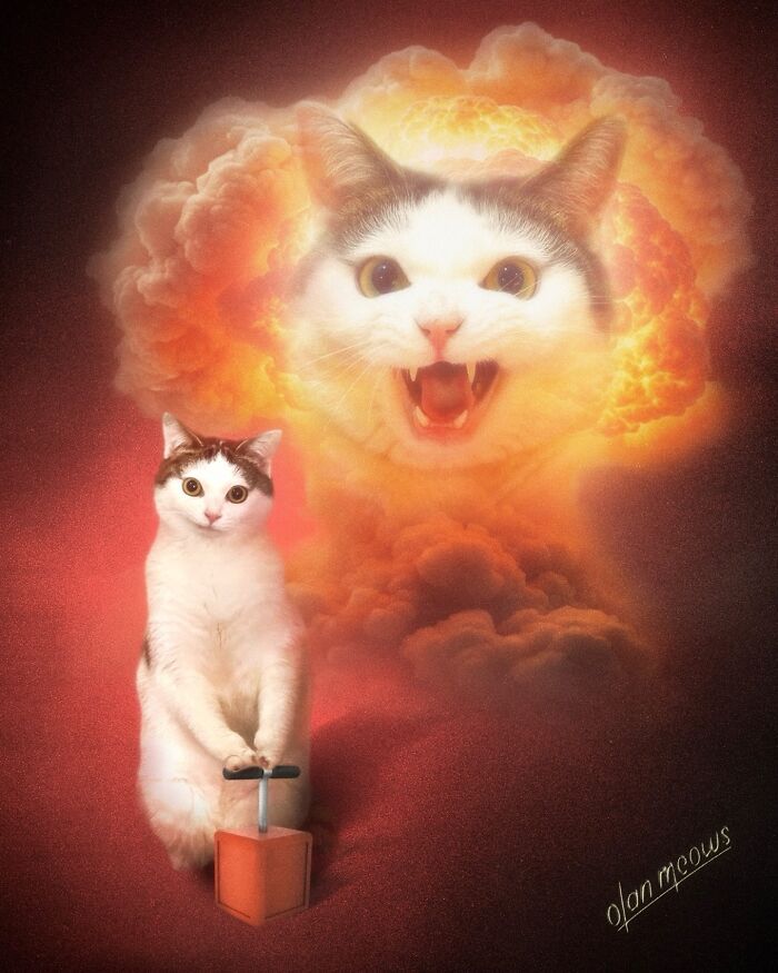 Retratos de animais em estilo anos 80 estão transformando pets em verdadeiras estrelas (32 fotos) 3 Retratos de animais em estilo anos 80 estão transformando pets em verdadeiras estrelas (32 fotos) 3