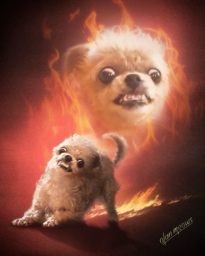 Retratos de animais em estilo anos 80 estão transformando pets em verdadeiras estrelas (32 fotos) 4 Retratos de animais em estilo anos 80 estão transformando pets em verdadeiras estrelas (32 fotos) 4