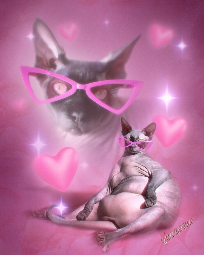 Retratos de animais em estilo anos 80 estão transformando pets em verdadeiras estrelas (32 fotos) 5 Retratos de animais em estilo anos 80 estão transformando pets em verdadeiras estrelas (32 fotos) 5